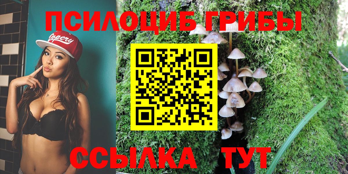 Галлюциногенные грибы MAGIC MUSHROOMS Ейск