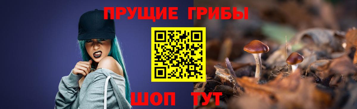 Ейск  Псилоцибиновые грибы мухоморы  Вход с VPN  Псилоцибиновые грибы Psilocybine cubensis 